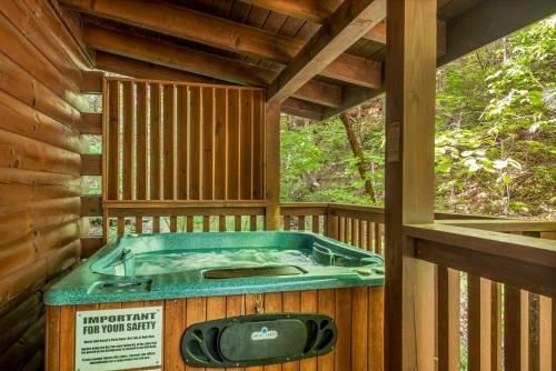 On Smoky Pond Cabin