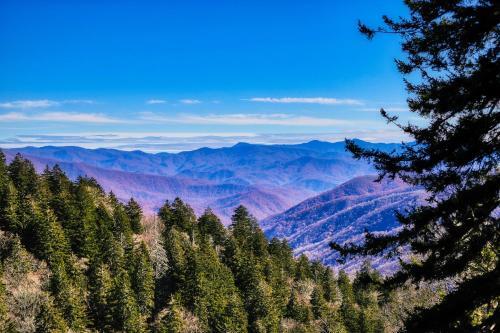 Angels Rest