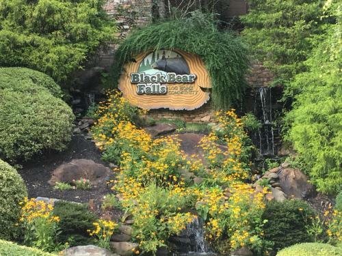 The Bear Essentials Getaway With Hot Tub Cabin