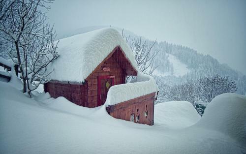 Apartamento Ferienhaus Ramsbacher
