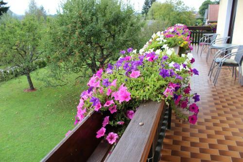 Bed & Breakfast Pension Windinger