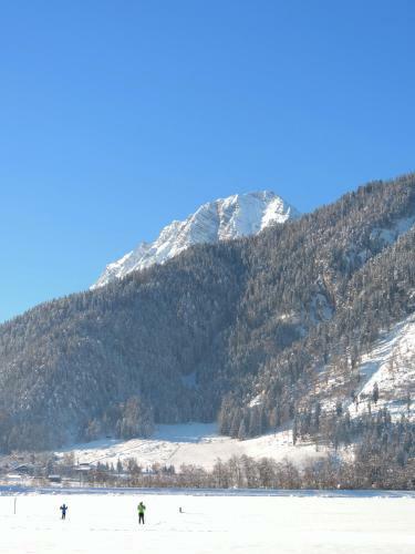 Apartamento Appartement Panzl