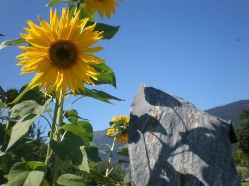 Agroturismo Oberhaslinghof