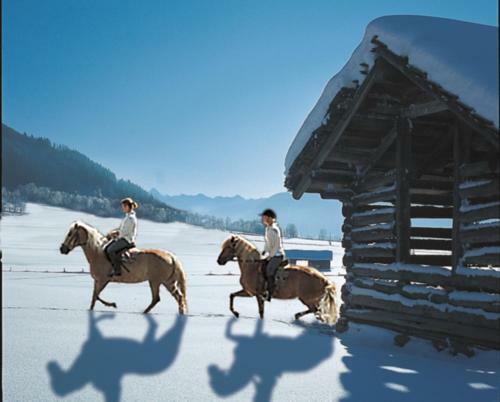Hotel Sch�rhof