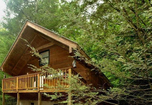 Wild Thing #1525 By Aunt Bug's Cabin Rentals