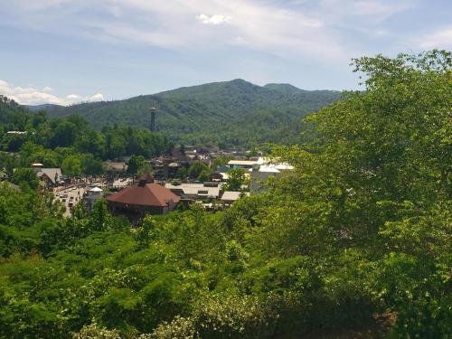 Apartamento Gatlinburg Chateau 105
