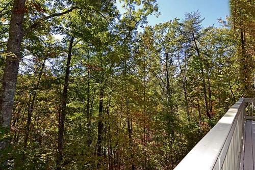 Smoky Mountain Dream