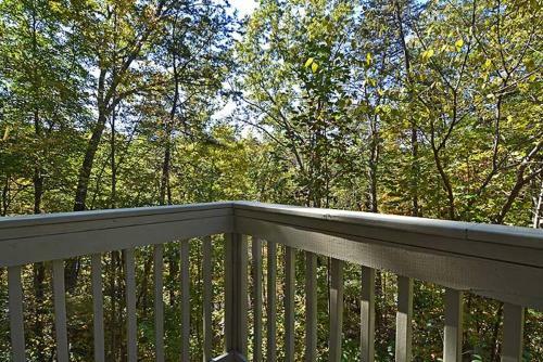 Smoky Mountain Dream