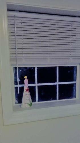 Cheap East Knoxville Basement Studio