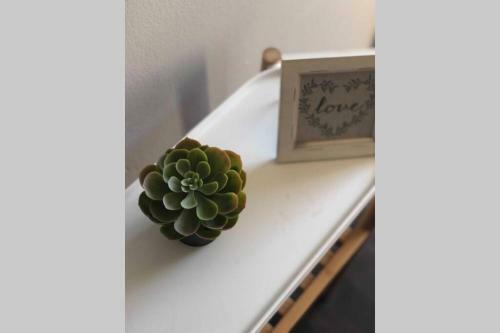 Apartamento Retro Pet Friendly Near University Free Parking 12