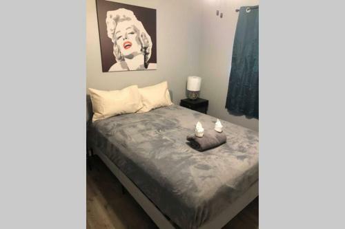 Apartamento Retro Pet Friendly Near University Free Parking 12