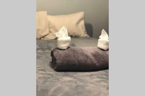 Apartamento Retro Pet Friendly Near University Free Parking 12