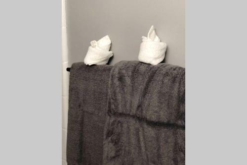 Apartamento Retro Pet Friendly Near University Free Parking 12