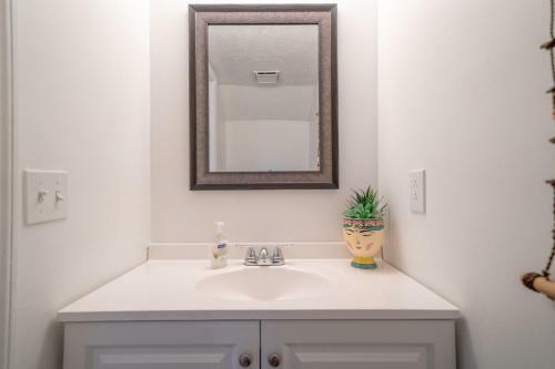 Boho Chic 2bd Walk To Shelby Park And Restaurants!