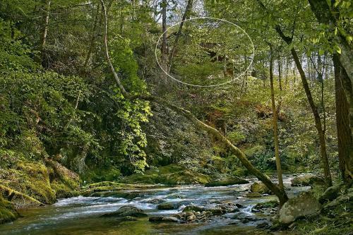 Whispering Waters #208 By Aunt Bug's Cabin Rentals
