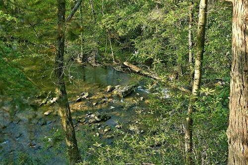 Whispering Waters #208 By Aunt Bug's Cabin Rentals