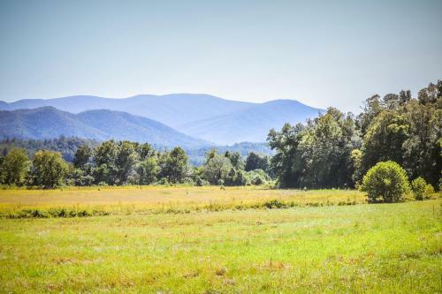 100 Mile View