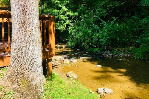 Creekside Dreams