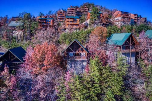 Above The Pines