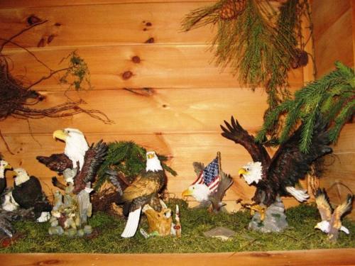Soaring Eagle Cabin