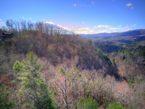 Stars Over The Smokies