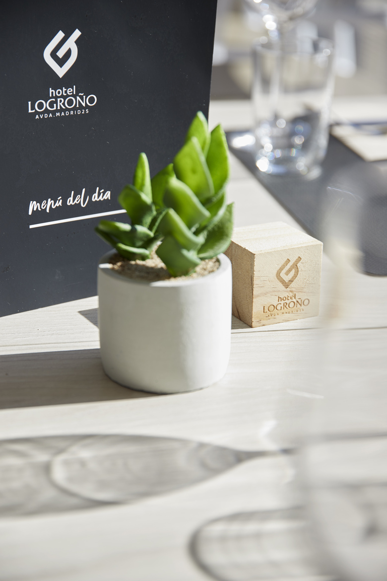 Iraipe Logro�o Hotel