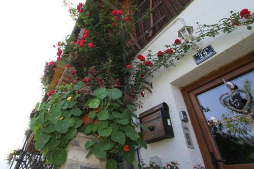 Apartamento Appartment Eggerhof