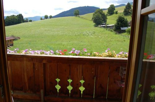 Agroturismo Stillinghof