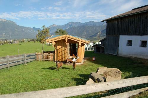 Agroturismo Stillinghof