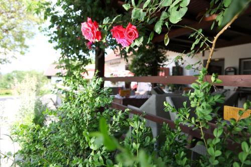 Hostal Gasthof Pension Wei�es R�ssl