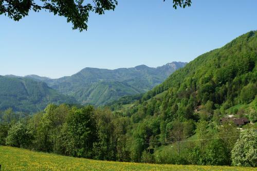 Hostal Gasthof-pension Brettmaisserhof