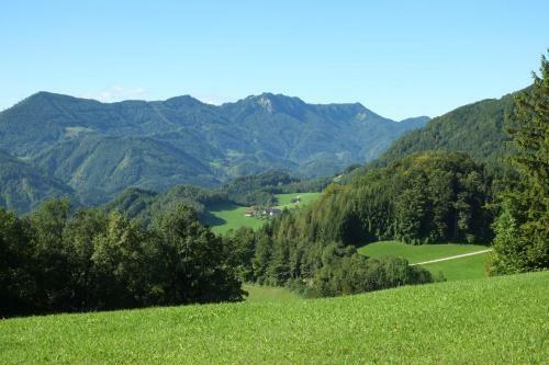 Hostal Gasthof-pension Brettmaisserhof