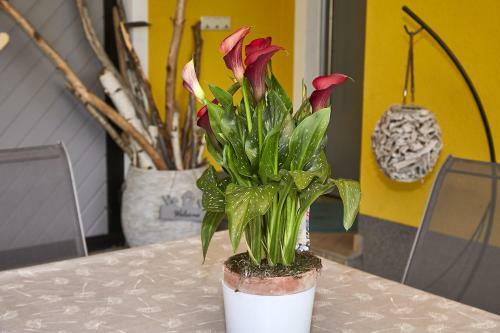 Apartamento Seeblick Susanne