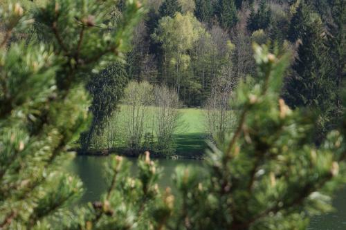 Hostal Landgasthof Trattnig