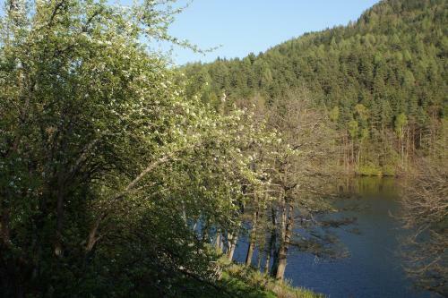 Hostal Landgasthof Trattnig