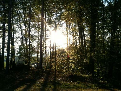 Hostal Waldpension Schiefling Am See