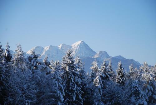 Hostal Waldpension Schiefling Am See