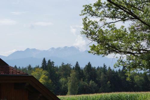 Apartamento Ferienwohnungen Rasinger