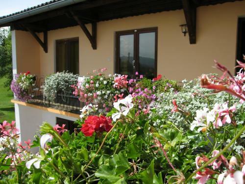 Bed & Breakfast Haus Falle