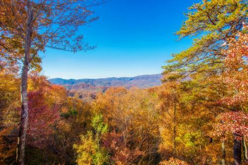 Smoky Mountain Views