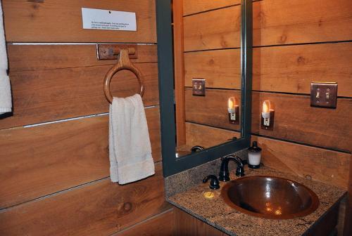 Mountain Bearadise Cabin