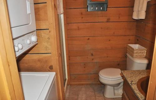 Mountain Bearadise Cabin