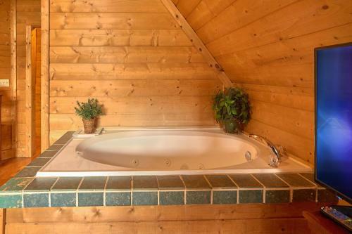 Hidden Romance #1404 By Aunt Bug's Cabin Rentals