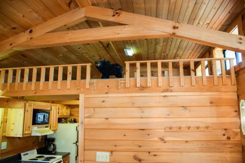 Southern Nites Sevierville Cabin