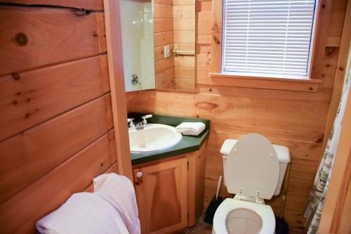 Southern Nites Sevierville Cabin