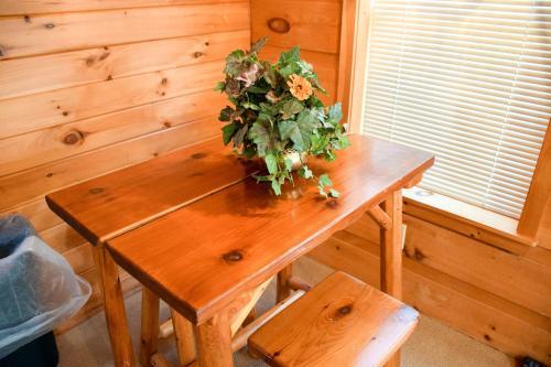 Southern Nites Sevierville Cabin
