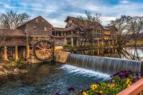 Smoky Mountain Majesty
