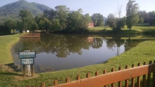 Kori's Mountain View