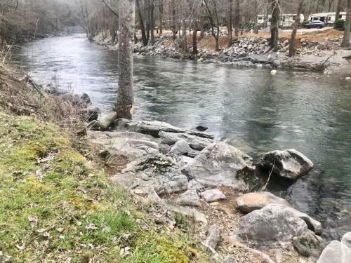 River Dreaming