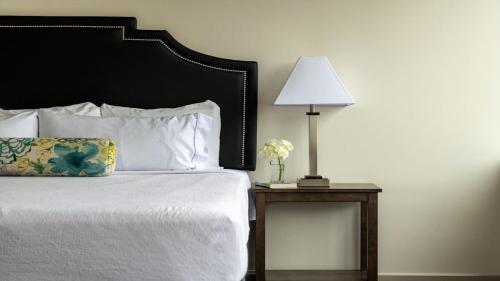 Stylish 2br Apartment Elm Street Cozysuites